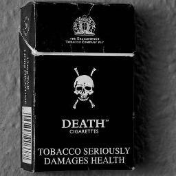 BGodzilla's profile picture. [ Parent ]