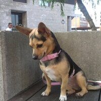 Ana S (@anas38204212) 's Twitter Profile