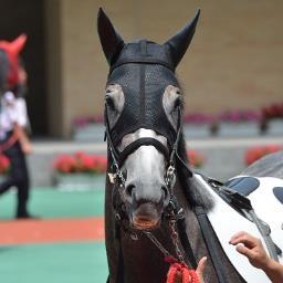 一口馬主、サッカー満喫中、アウェイ戦全国奔走。水戸ホーリーホックサポ。カメラ撮影 ニコンD850≪ユニオン≫ ラプタス、ヴァンヤール等 ≪キャロット≫セラフィックコール、フレーヴァード等 ≪元愛馬≫ルージュバック、シャルール等 《サッカー》水戸ホーリーホック、野瀬龍世《愛車》RAV4