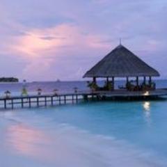 DaisyBeeTravel's profile picture. Internet Prices, Personal Service. We are passionate about travel and customer service is our number one priority.