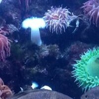 Christine Barley (@christinebarley) 's Twitter Profile Photo