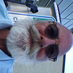 Just Papi (@just_papibear) Twitter profile photo