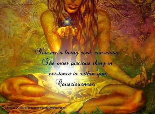 bonnysa's profile picture. 