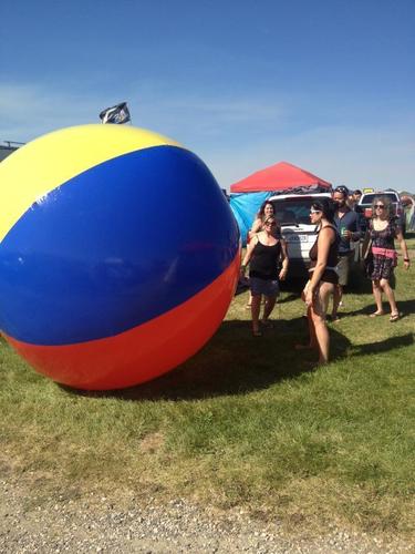 musichds's profile picture. I love traveling and phish and dirty funk