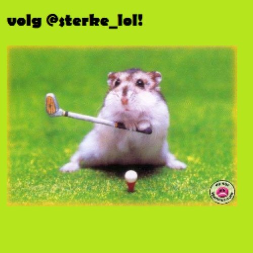 \De grappigste en leukste grappen/ ALS JE DIT TOCH LEEST DRUK DAAR MAAROP DE VOLG KNOP / LACH JE ROT! :P