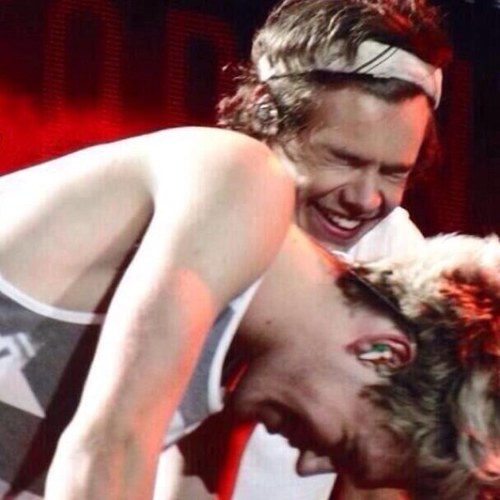 go follow @paradiselarry