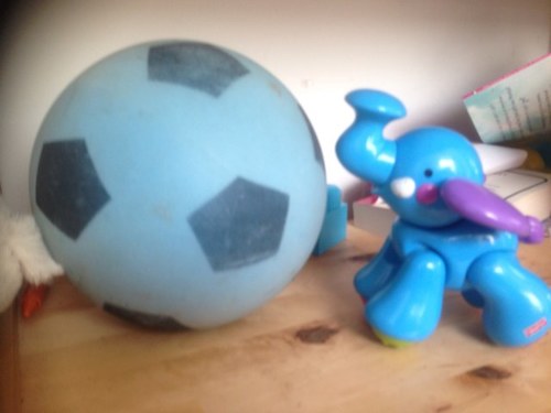 BigBlueSport's profile picture. All Big all Blue and full of sport and other bits of stuff. Remembering what should be blue, has always been blue, but is now red. CCFC