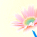 Юлия Антонова (@inna_pe_4794489) Twitter profile photo Юлия Антонова (@inna_pe_4794489) Twitter profile photo