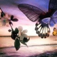 Вика Быкова (@zhenja_st_24102) 's Twitter Profile Photo Вика Быкова (@zhenja_st_24102) 's Twitter Profile Photo
