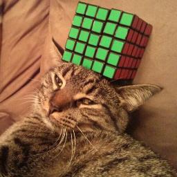 I'm a cat.