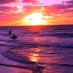 Susanne Bedke (@goosecreeksue) Twitter profile photo Susanne Bedke (@goosecreeksue) Twitter profile photo
