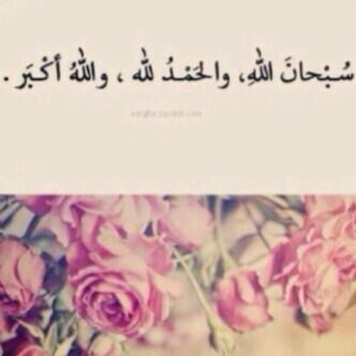 ♥ التاسع عشر من مايو ♥