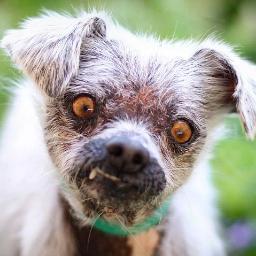 Ugly and beautiful