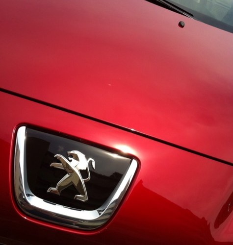 lion308sw's profile picture. 