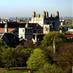 UChicago BSD Office of Postdoctoral Affairs (@bsdpostdoc) Twitter profile photo