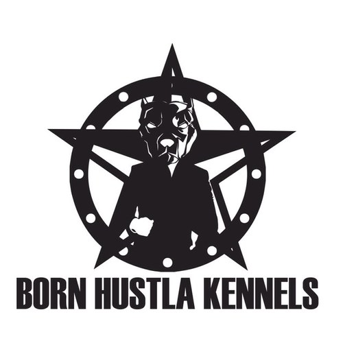 Welcome to Team Born Hustla K.C. Houston TX & El Paso TX. Chapter showing love. Taking all aps. Hit me up on instagram @TEAMBORHUSTLA.