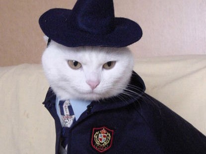 tu te tornas internetemente responsável por aquilo que cativas .