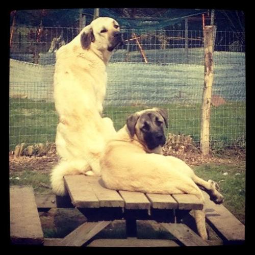 Natacha201112's profile picture. 