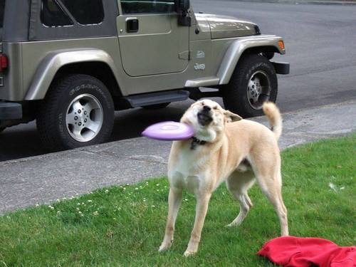 If it's funny, then I want.