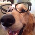 margo baeta (@mrbgator) Twitter profile photo margo baeta (@mrbgator) Twitter profile photo