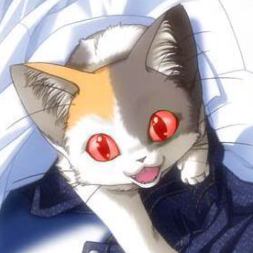 crookedkit's profile picture. I am nothing.... #RpCat #Warrior #IWillKillYouIfYouDontSTFU Theme Song- Rain by Hollywood Undead