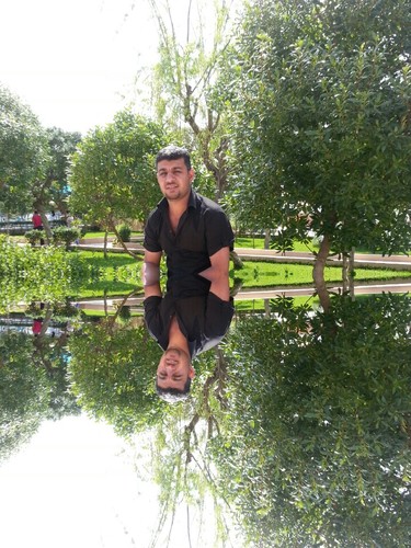 mahmoudalali1's profile picture. 