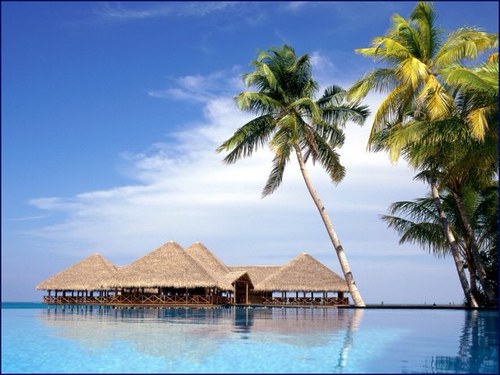 We tweet everything you have ever dreamed of! Love life! Contact: AndMoreTweet@hotmail.com