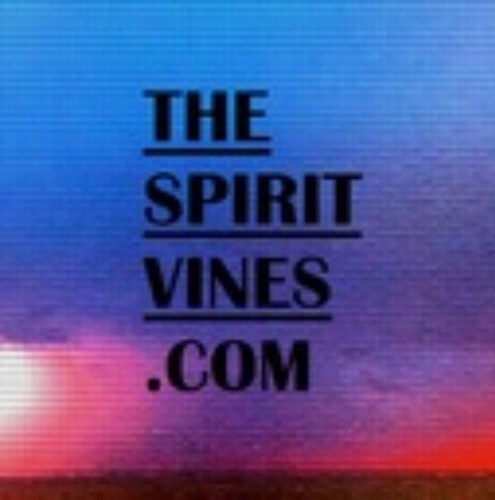 THESPIRITVINES Profile Picture