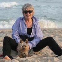 lena tabori (@taborisan) Twitter profile photo