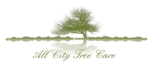 Allcitytree Profile Picture