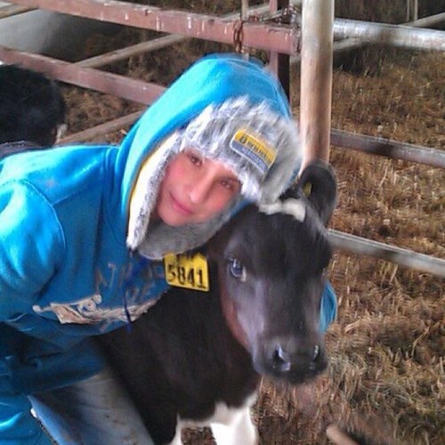 polarisrocks2's profile picture. 