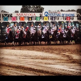 ckmsaratoga's profile picture. 