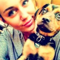 pequenadoNini_'s profile picture. 