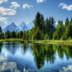 AlfredDreams's profile picture. Something right out of here.Work WORK and love MUSIC