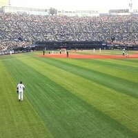 ありんこ (@mallsankaku) 's Twitter Profile
