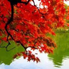 A day without a laugh is a wasted day.-- Charles Chaplin