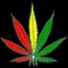 Smoke pot? Follow us. Don`t smoke pot? Follow us anyways!