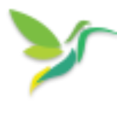 visualpathway's profile picture. Empowering the visually impaired through education, technology, and treatment of preventable blindness.