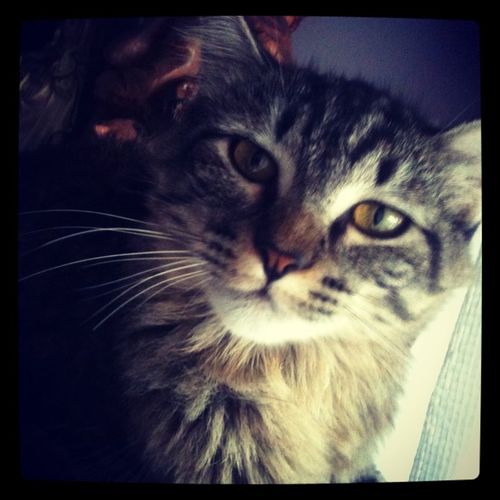 lele_01's profile picture. 