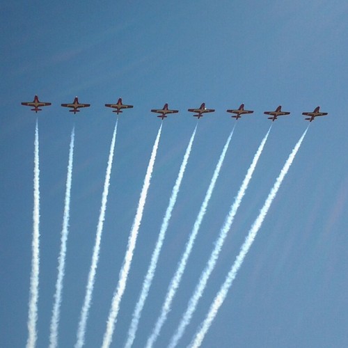 cjtaylor0377's profile picture. 