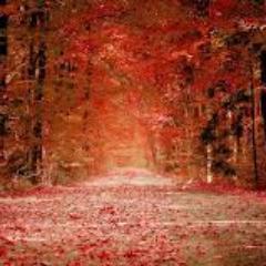 Life is a succession of moments. To live each one is to succeed.- Corita Kent
