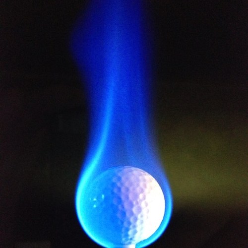 pinseeker9's profile picture. 