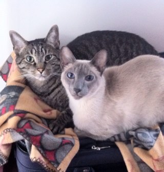 kaiandspanky's profile picture. Bird watchers, bed hogs, best friends