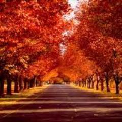 ean3ssacha's profile picture. Life is a great big canvas, and you should throw all the paint on it you can.- Danny Kaye