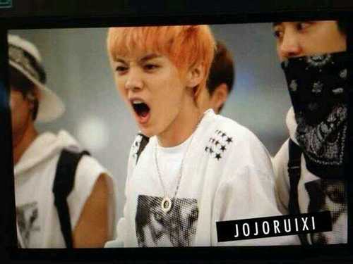ฟอลกลับที่แอคหลัก : @kormiin_kt  เทรนเพื่อสามี anything about Luhan. Luhan's my hasband. 3
