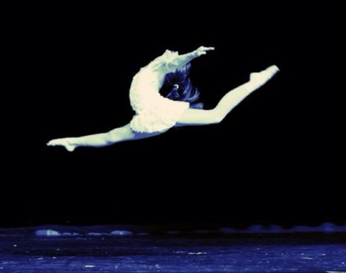 danceislife505's profile picture. 