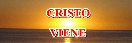 _vieneCristo's profile picture. 