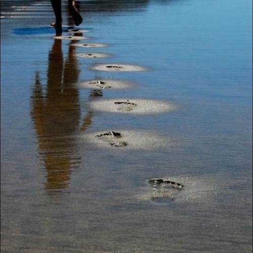 30donlan6's profile picture. The most important single ingredient in the formula of success is knowing how to get along with people. ~Theodore