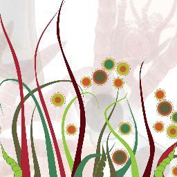 MicroMacroalgas's profile picture. La Facultad de Ecología y RRNN de la UNAB y Sochifico tienen el agrado de comunicarles la próxima realización del IX Congreso Nacional de Micro y Macro algas.