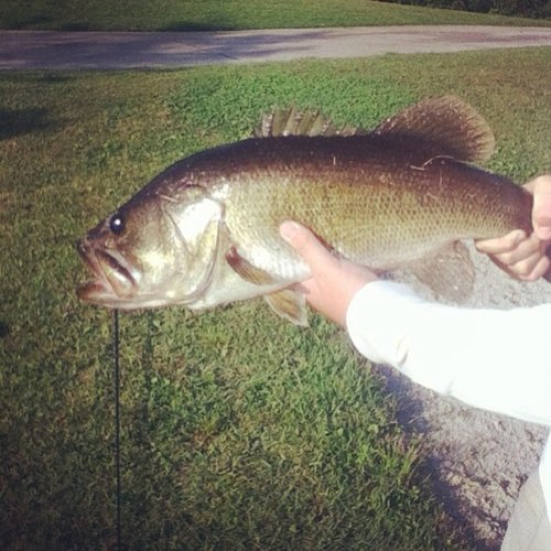 Anglers, boaters, lure enthusiasts. Check out our website.